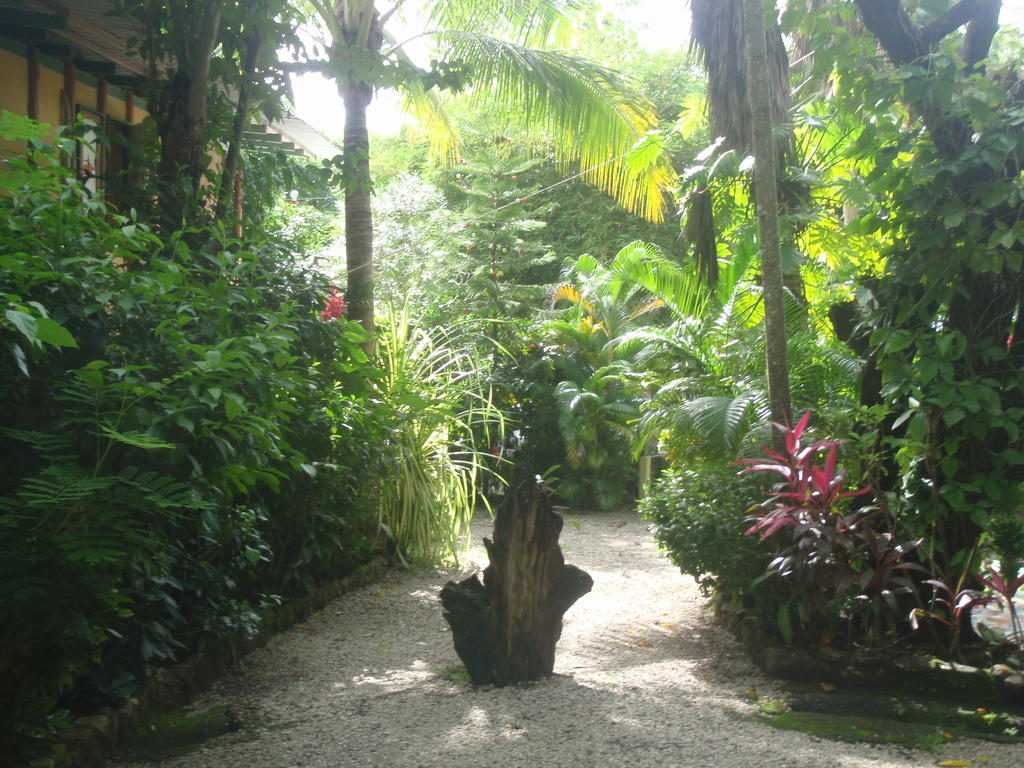 Pachamama Tropical Garden Lodge Malpais Buitenkant foto