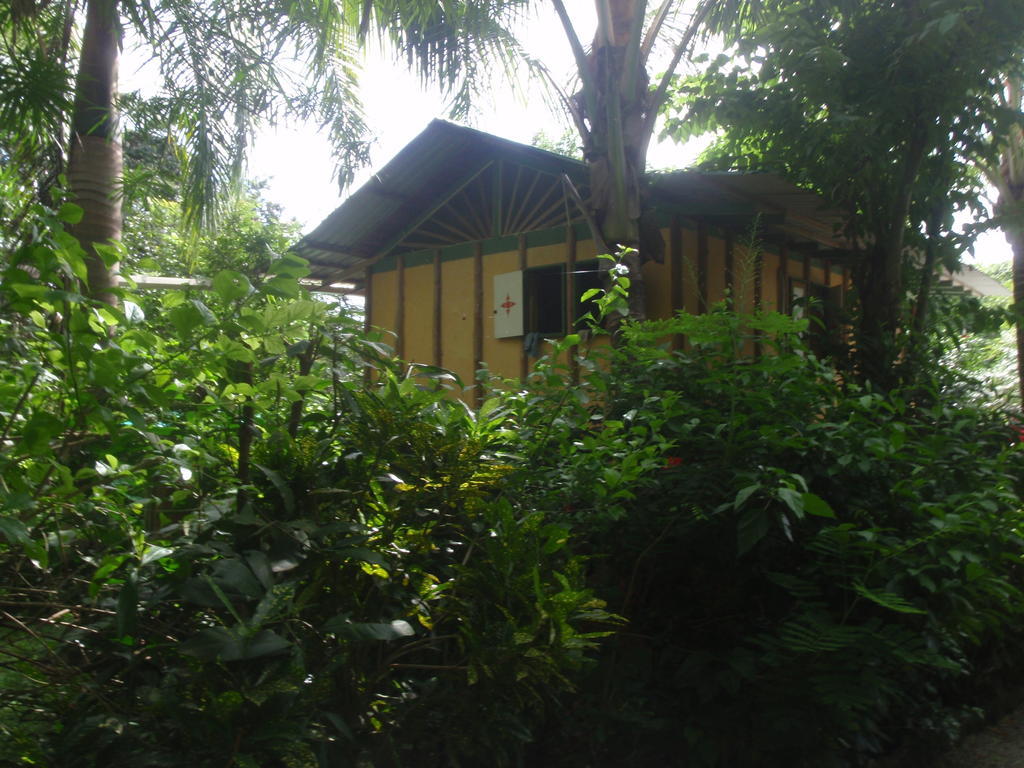 Pachamama Tropical Garden Lodge Malpais Kamer foto